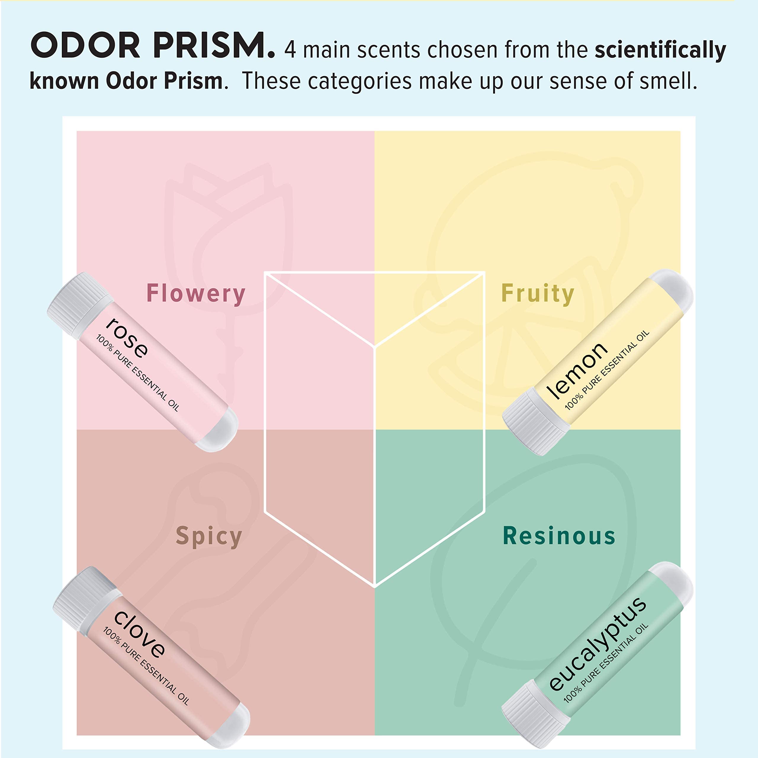 MOXĒ Smell Training Kit, Made in USA, 4 Essential Oils, Olfactory Regeneration, Helps Restore Sense MOXE