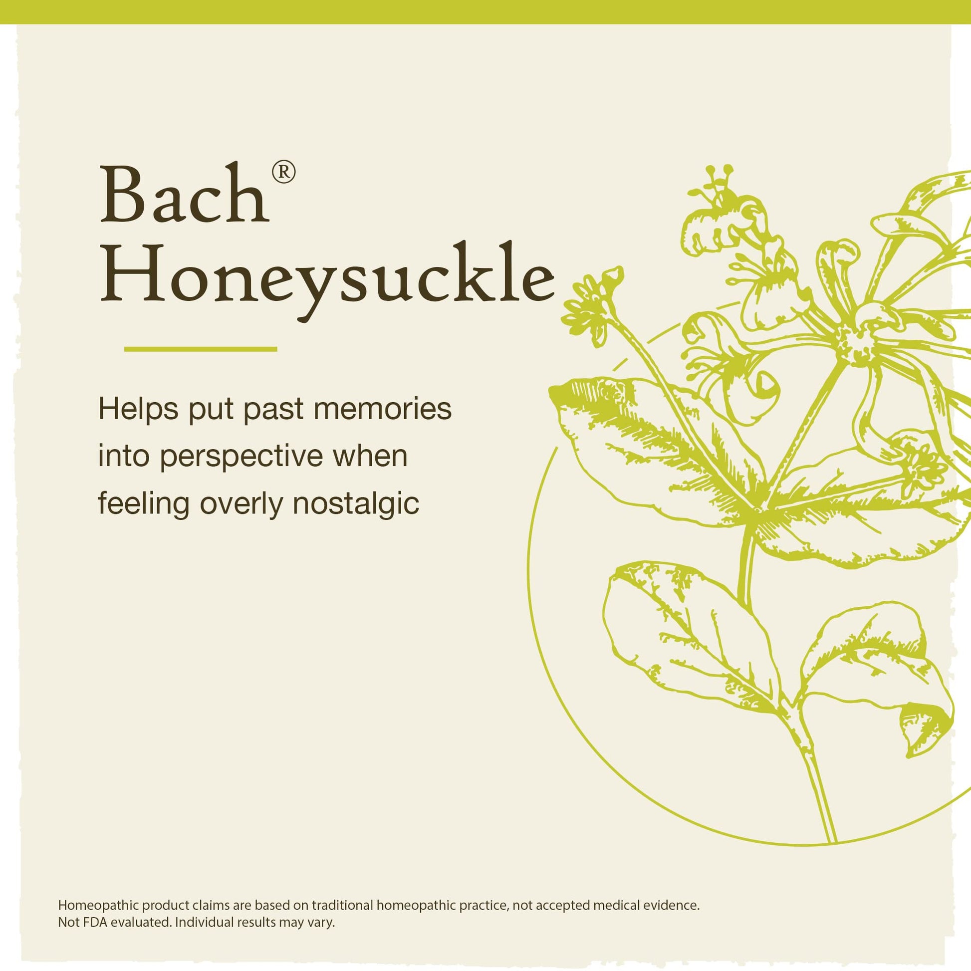 Bach Original Flower Remedies, Honeysuckle for Embracing The Now (Non-Alcohol Formula) Bach