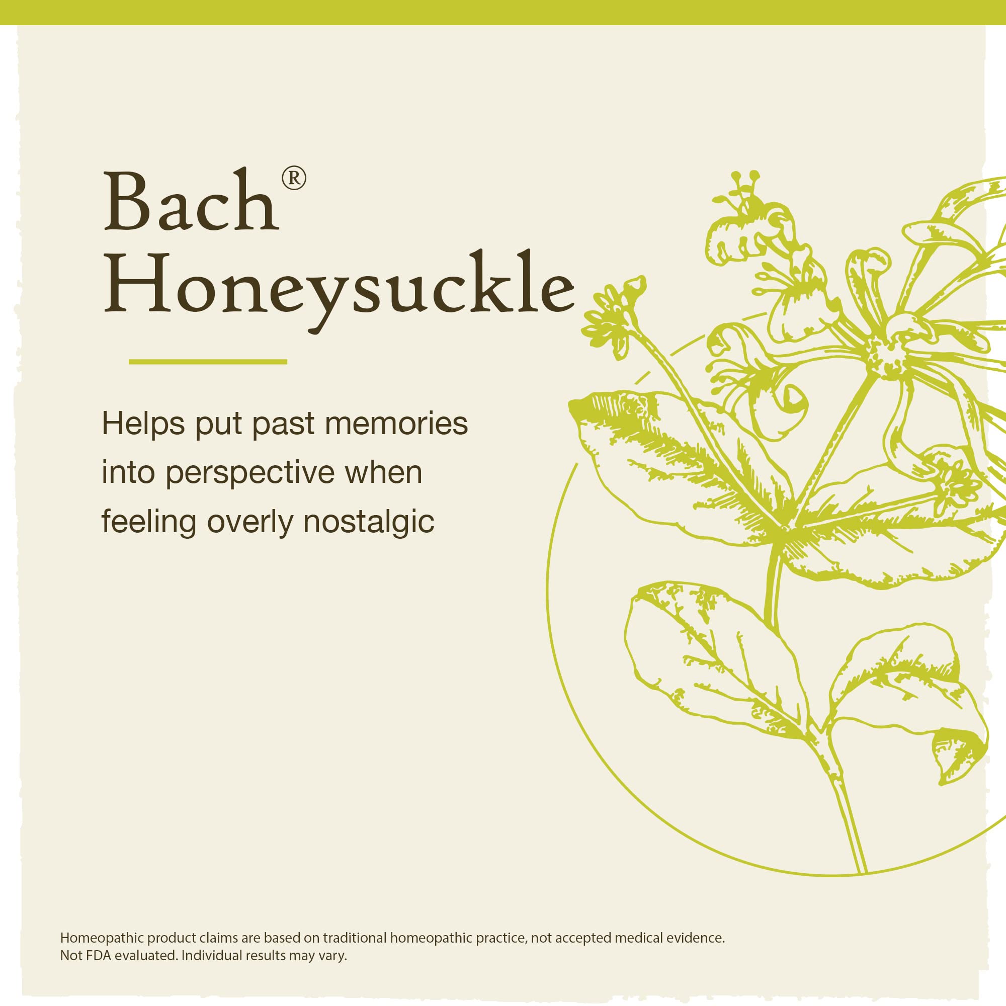 Bach Original Flower Remedies, Honeysuckle for Embracing The Now (Non-Alcohol Formula) Bach