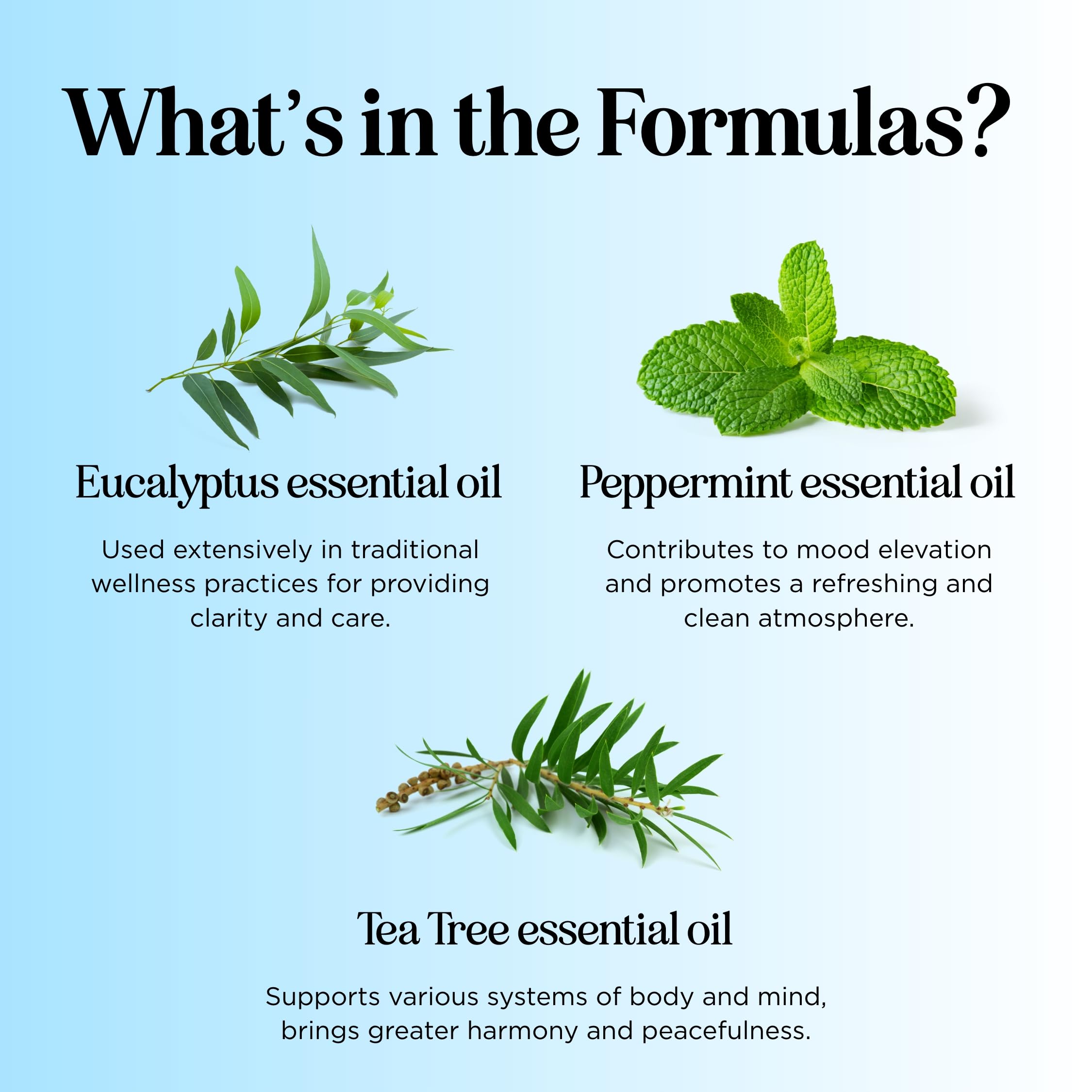 Headache Roll on Essential Oils - Aromatherapy Essential Oils Sets Variety Pack with Peppermint Clarify Maple Holistics