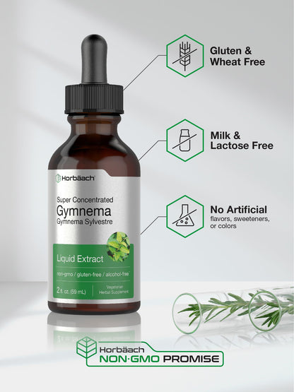 Gymnema Sylvestre Liquid | 2 fl oz | Alcohol Free Supplement | Super Concentrated