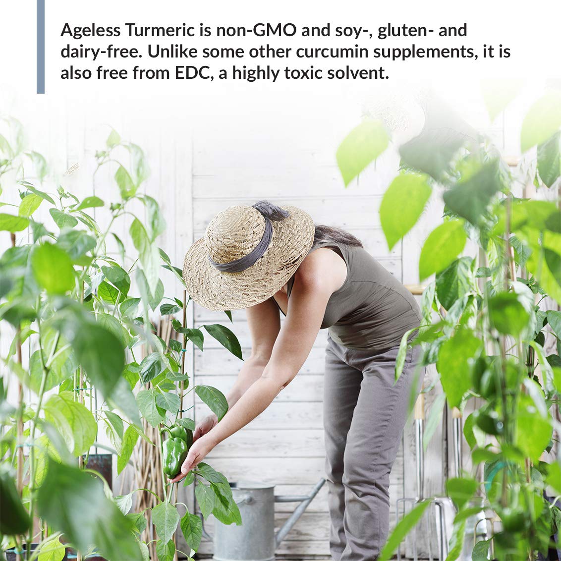 BioTrust Ageless Turmeric Supplement - CurcuWIN Turmeric Curcumin with Ginger Extract BioTrust