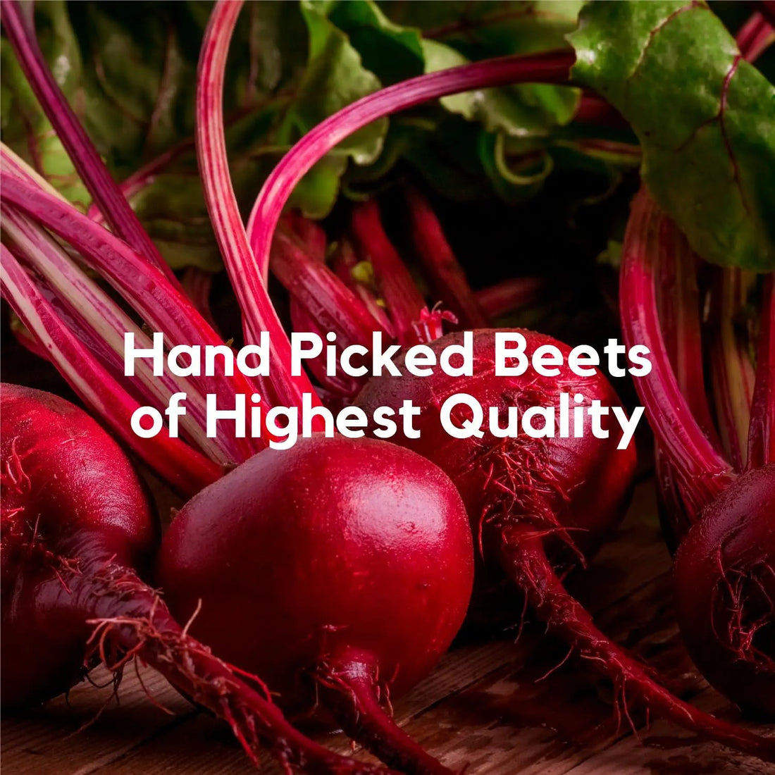 Better Alt Beet Root Powder - 16oz, 100% Natural Nitric Oxide Booster and Pure Himalayan