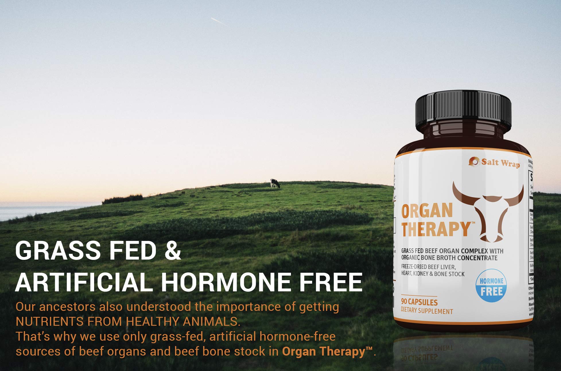 SaltWrap Organ Therapy - Grass Fed Beef Organ Meat Complex Supplement with Organic