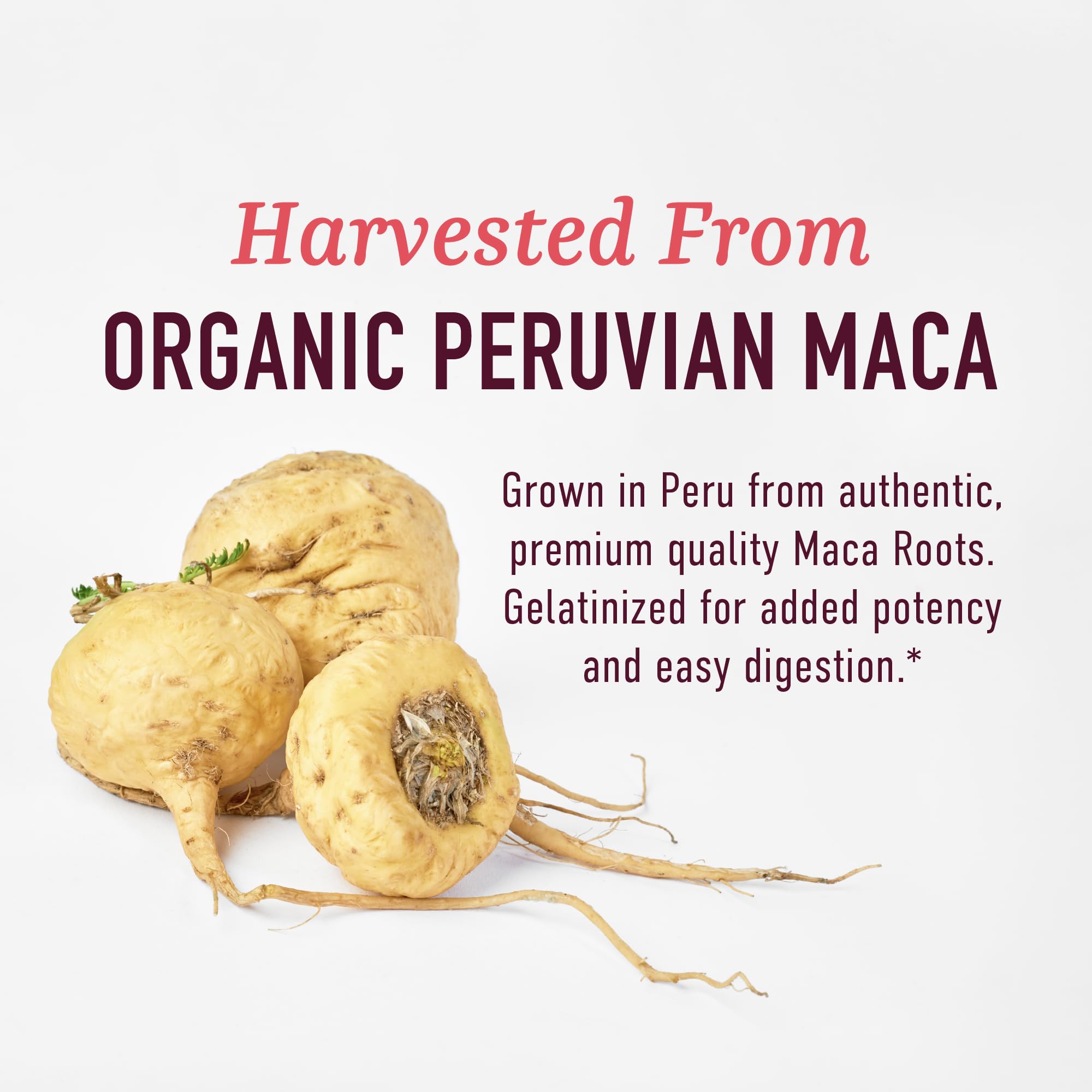 Organic Maca Root Capsules for Women | Peruvian Maca 2250MG Extra Strength SMNutrition