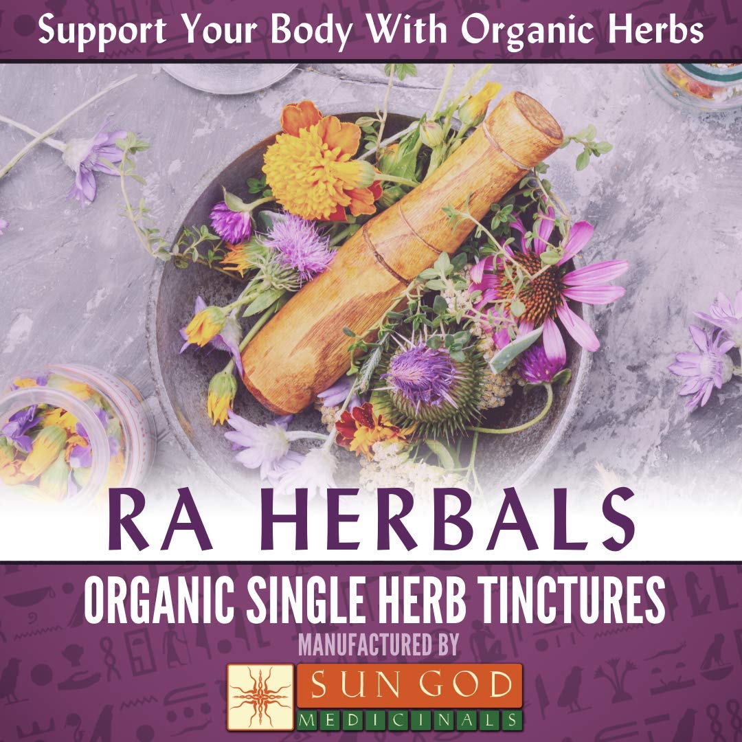Ra Herbals Organic Red Clover Liquid Extract - Menopause Support - 1 fl oz Sun God Medicinals