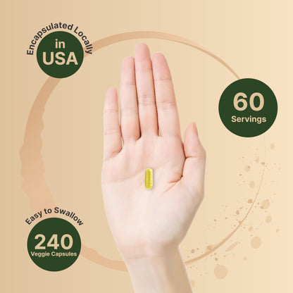 Berberine Supplement 500mg Per Capsule (2,000mg Per Serving) | 240 Veggie Capsules, 97% Pure Berberine HCL – Plant Based, Vegan, Non-GMO