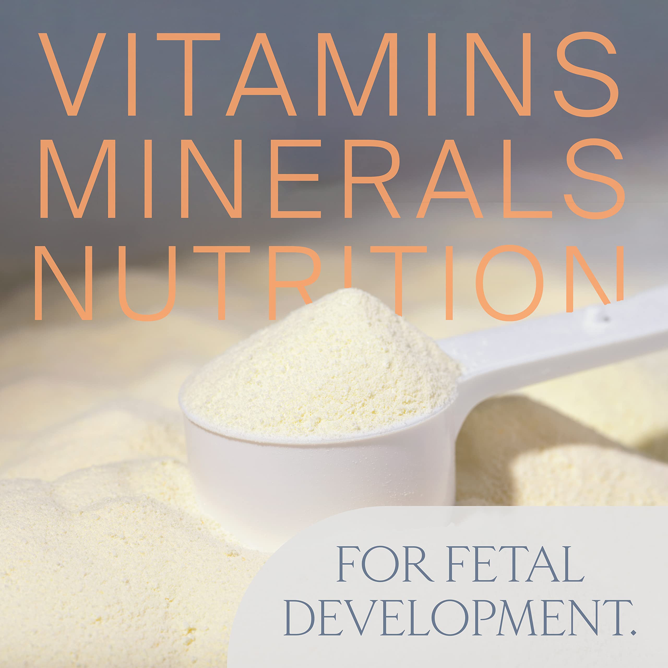 LUV&LIFE Prenatal Vitamin Supplement Powder Vanilla Flavored Contains Protein and Fiber