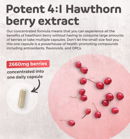 Hawthorn Berry Capsules - 4 Month Supply Digestion & Heart Health Supplement