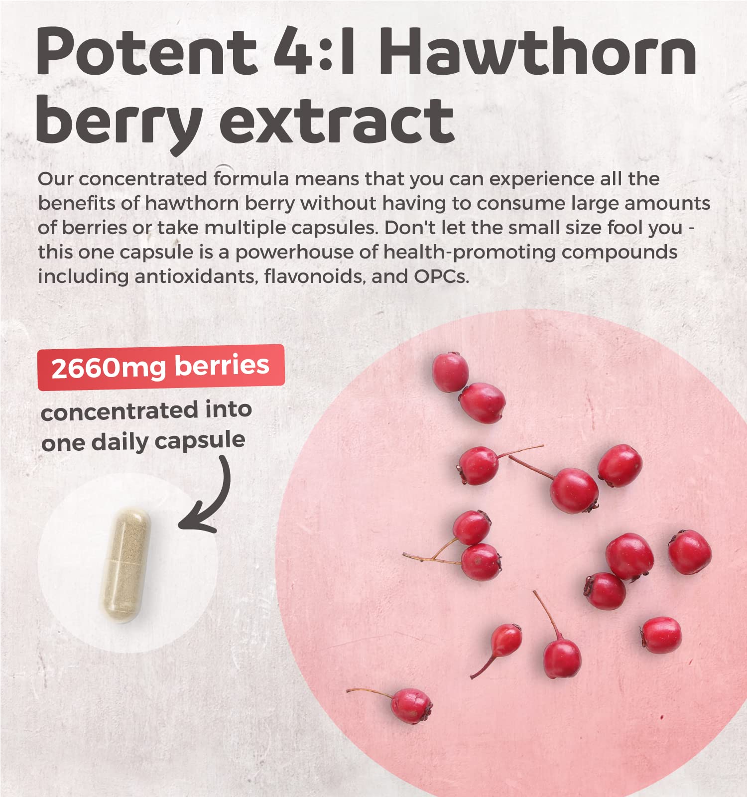 Hawthorn Berry Capsules - 4 Month Supply Digestion & Heart Health Supplement Healths Harmony