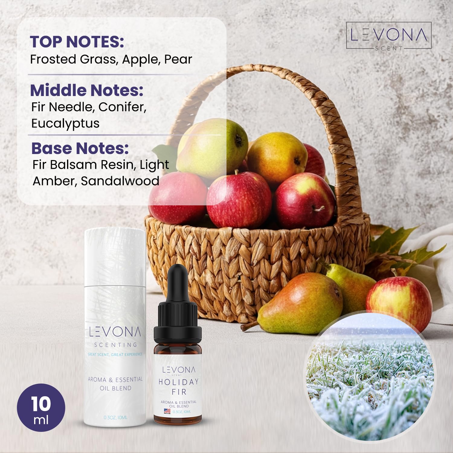 Levona Scent Christmas Essential Oils for Diffuser: Holiday Fir Essential Oil for Diffusers for Home LEVONA SCENT