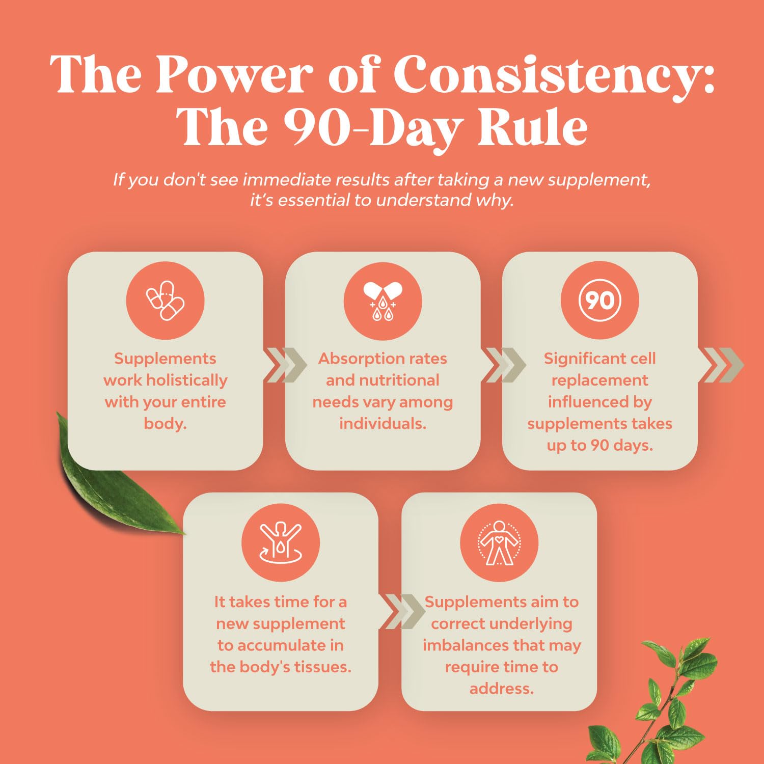 Sugar Free Fiber Gummies for Adults - High Fiber Supplement Gummies Vitamins for Adults Natures Craft