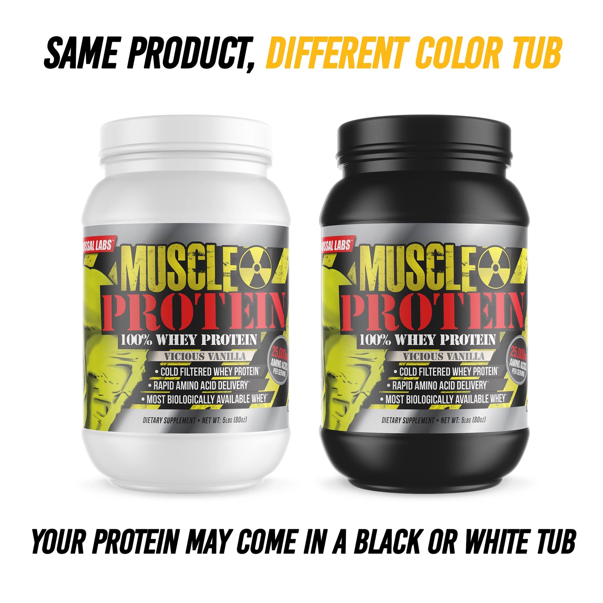 COLOSSAL LABS Whey Protein Powder [15 lbs/Pack of 1]– Chocolate Protein, Cold Filtered COLOSSAL LABS