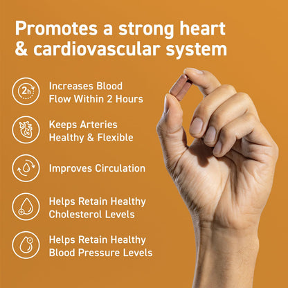 CocoaVia Cardio Health Supplement, 30 Day, 500mg Cocoa Flavanols, Support Heart Health