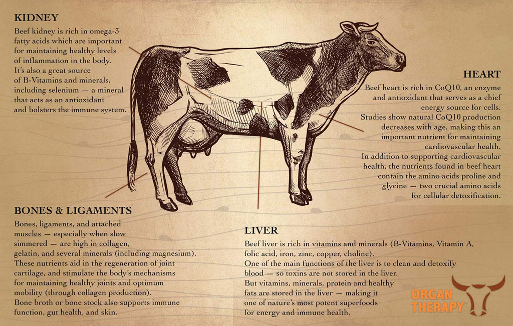 SaltWrap Organ Therapy - Grass Fed Beef Organ Meat Complex Supplement with Organic