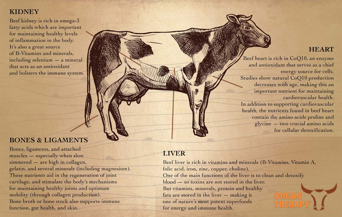 SaltWrap Organ Therapy - Grass Fed Beef Organ Meat Complex Supplement with Organic