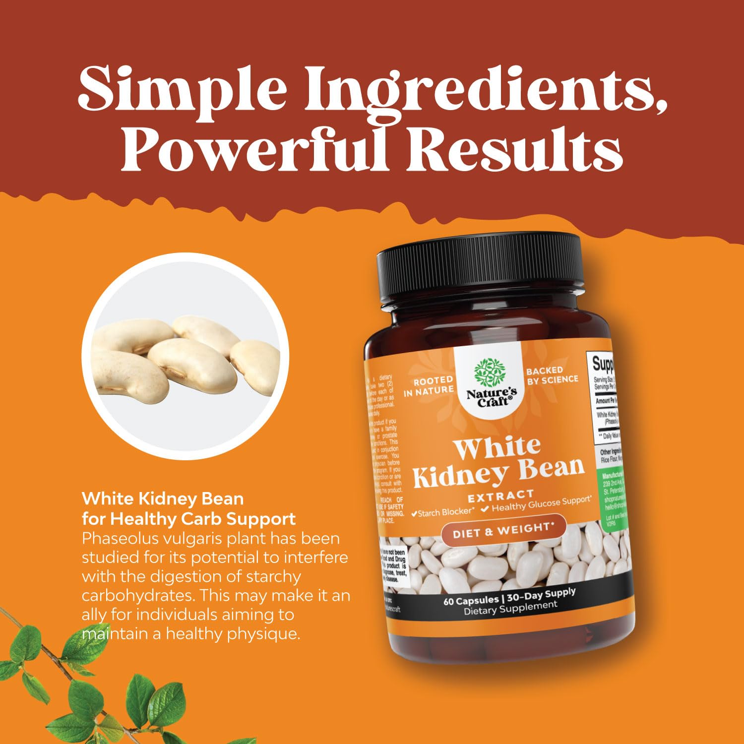 Natural White Kidney Bean Extract - White Kidney Bean Energy Booster AMPK Activator Natures Craft