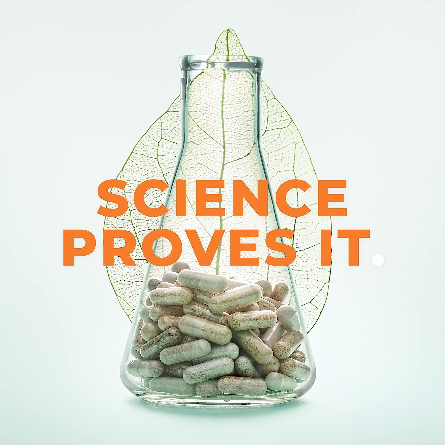 LifeSeasons - Metabolism - Weight Control Support & Energy Boosting Supplement LifeSeasons