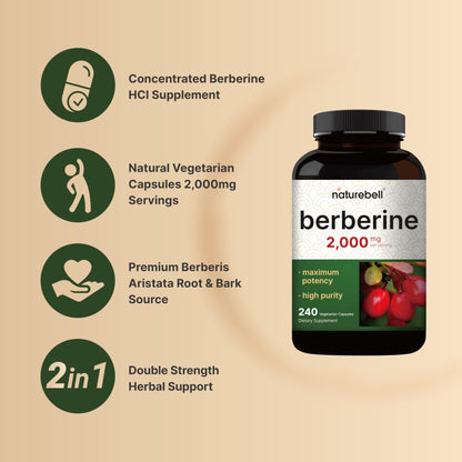 Berberine Supplement 500mg Per Capsule (2,000mg Per Serving) | 240 Veggie Capsules, 97% Pure Berberine HCL – Plant Based, Vegan, Non-GMO