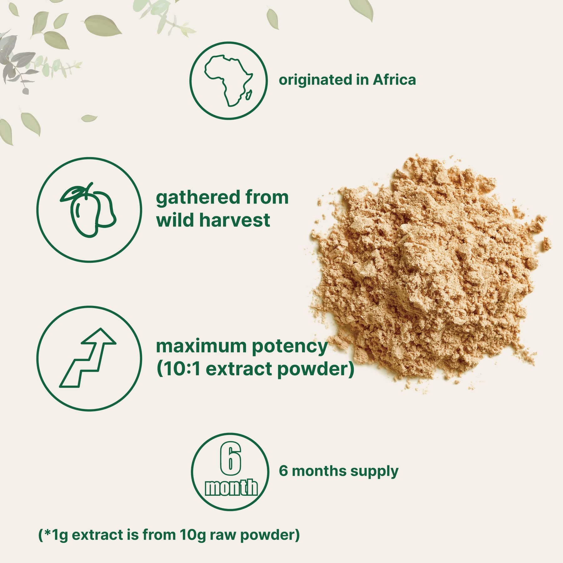 Sustainably Africa Grown, Pure African Mango Powder (Irvingia Gabonensis Powder Micro Ingredients