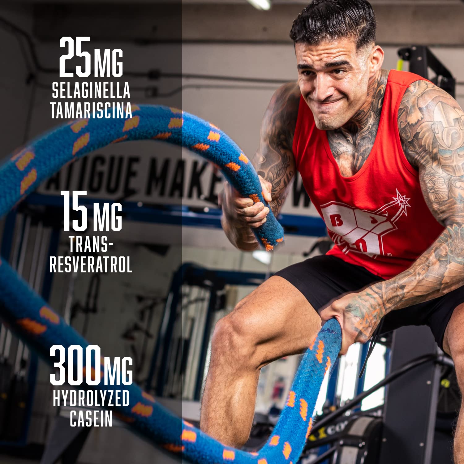 BSN N.O.-XPLODE Vaso Pre Workout Powder with 8g of L-Citrulline and 3.2g Beta-Alanine BSN