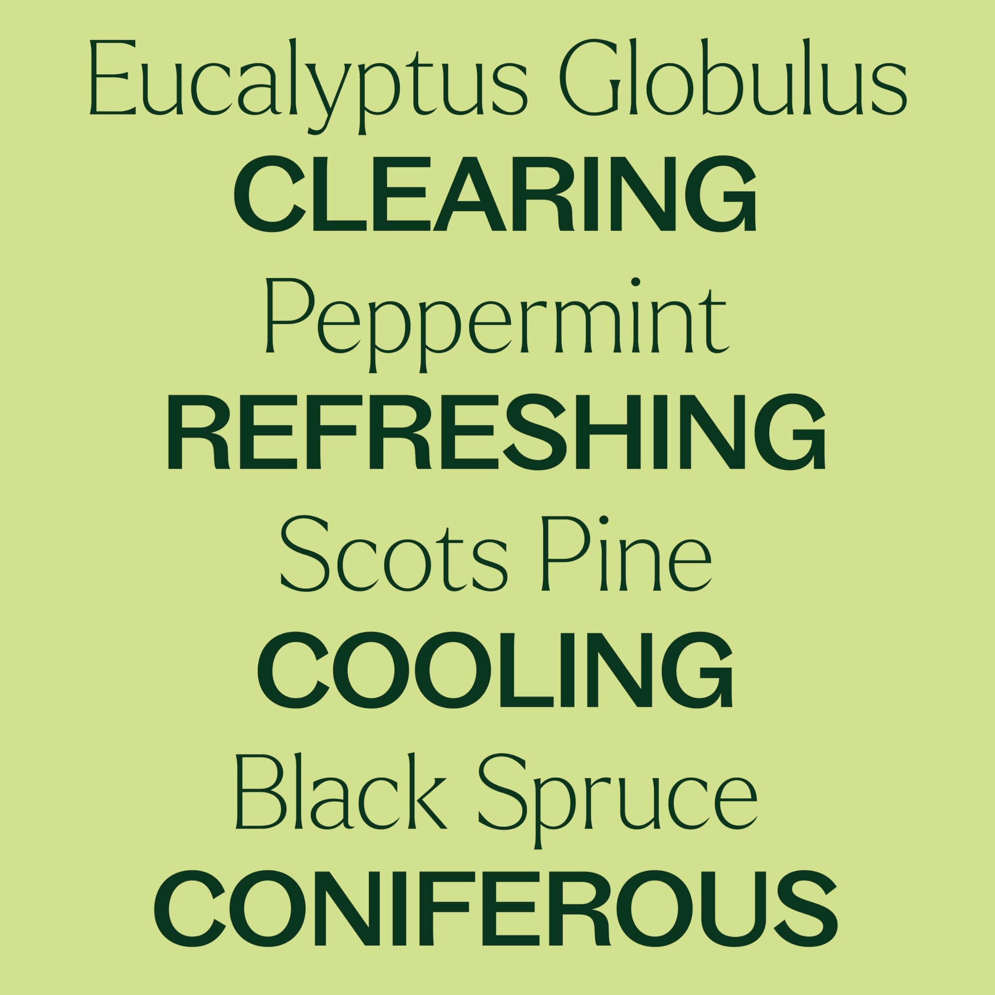 Plant Therapy Respir Aid Shower Mist 4 oz Refreshing & Crisp Aroma, Great to Help Clear Congestion Plant Therapy