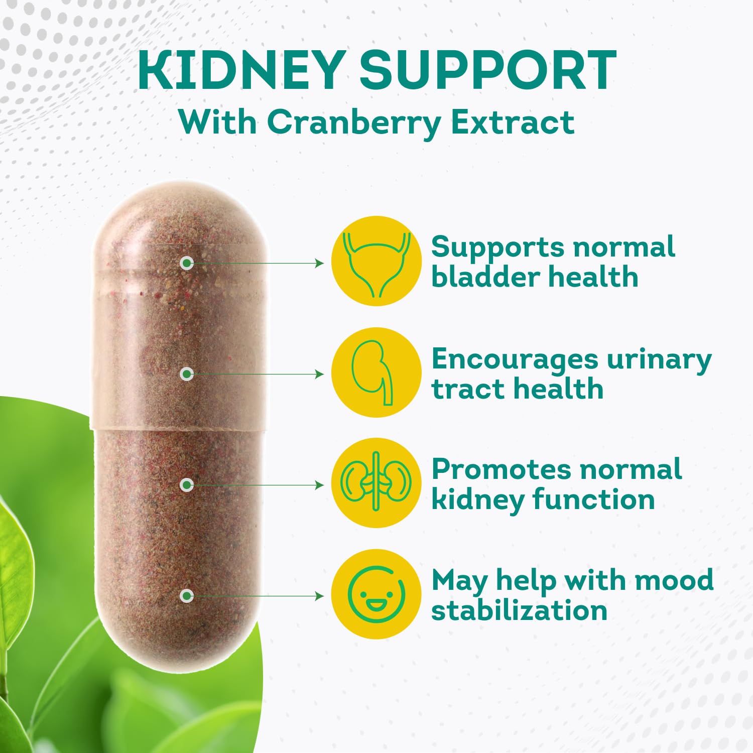 PurePremium Kidney Support Supplement for Men and Women - with Cranberry Extract PurePremium Supplements