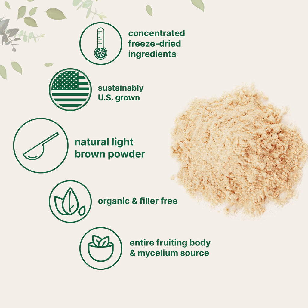 Micro Ingredients Organic Lions Mane Mushroom Supplement Powder 16 Ounce Micro Ingredients