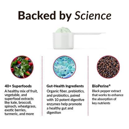 FORCE FACTOR Smarter Greens Daily Wellness Powder to Support Energy, Immunity & Digestion