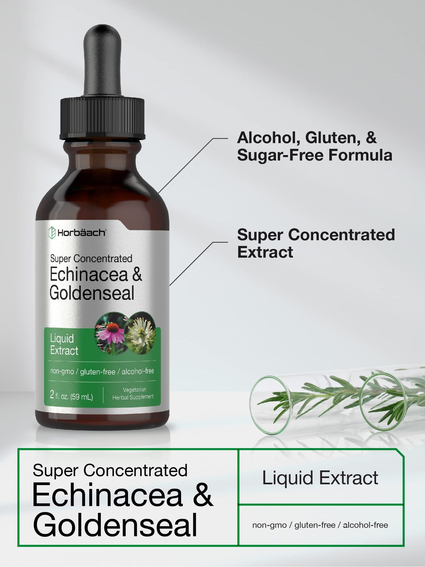 Echinacea Goldenseal Liquid Extract | 2 fl oz | Alcohol Free Tincture Drops | Vegetarian