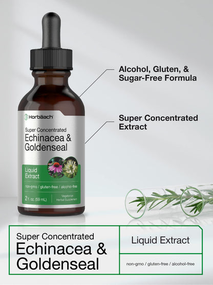 Echinacea Goldenseal Liquid Extract | 2 fl oz | Alcohol Free Tincture Drops | Vegetarian