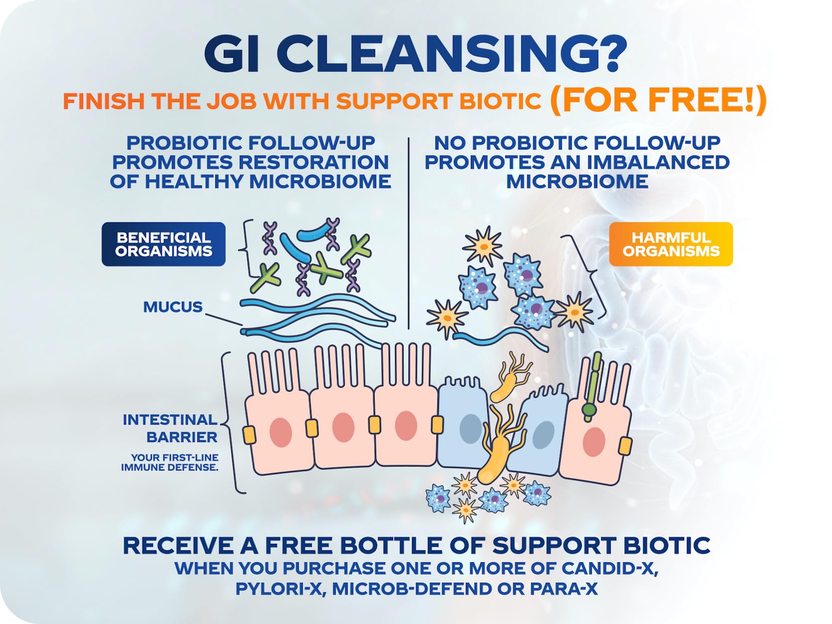 BioMatrix Candid-X Gut Cleanse with Berberine, Oregano, Sodium Caprylate, Chamomile, Ginger BioMatrix