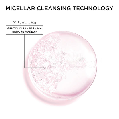 Garnier Back to School Bundle|Micellar Water (400mL) + Fructis Sleek & Shine