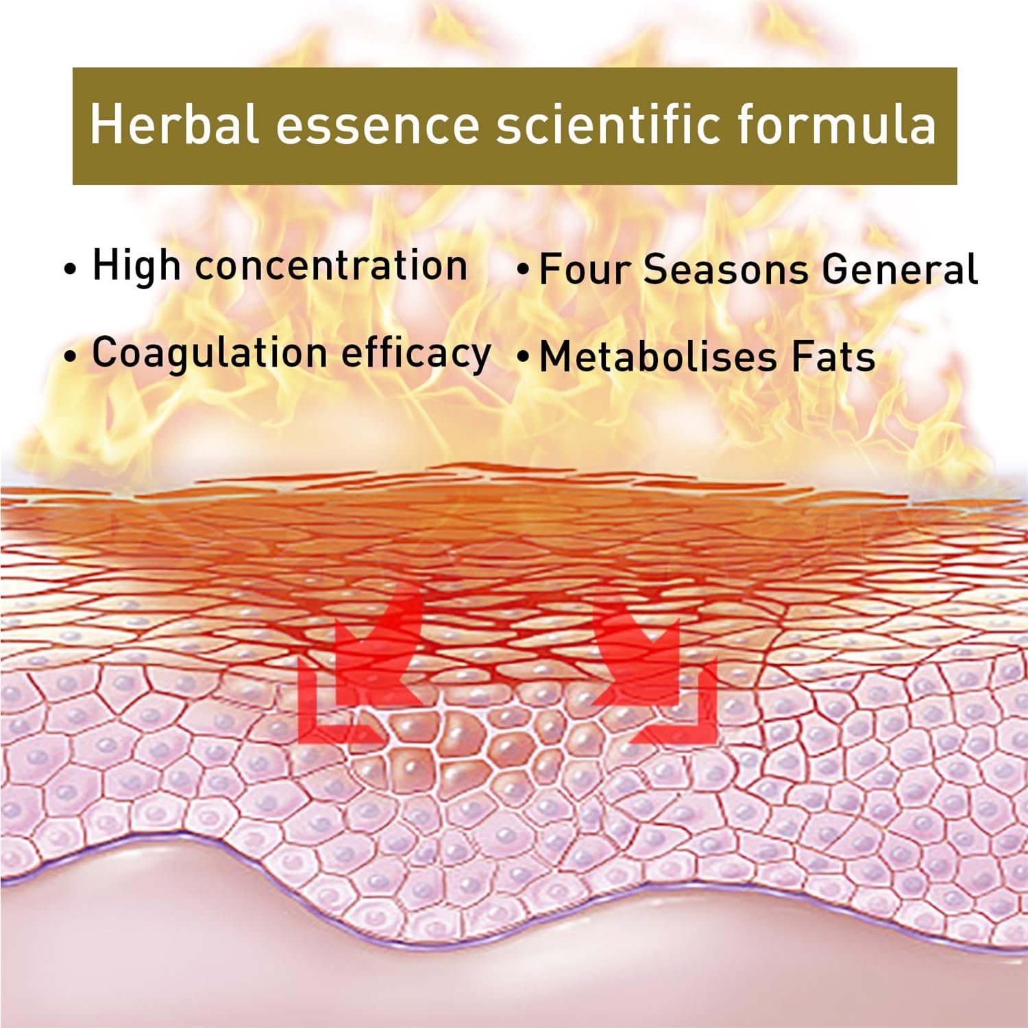 Bee Venom Slimming Nose Ring GGPM Bee Venom Lymphatic Drainage & Slimming Nose Ring Bee Venom Generic