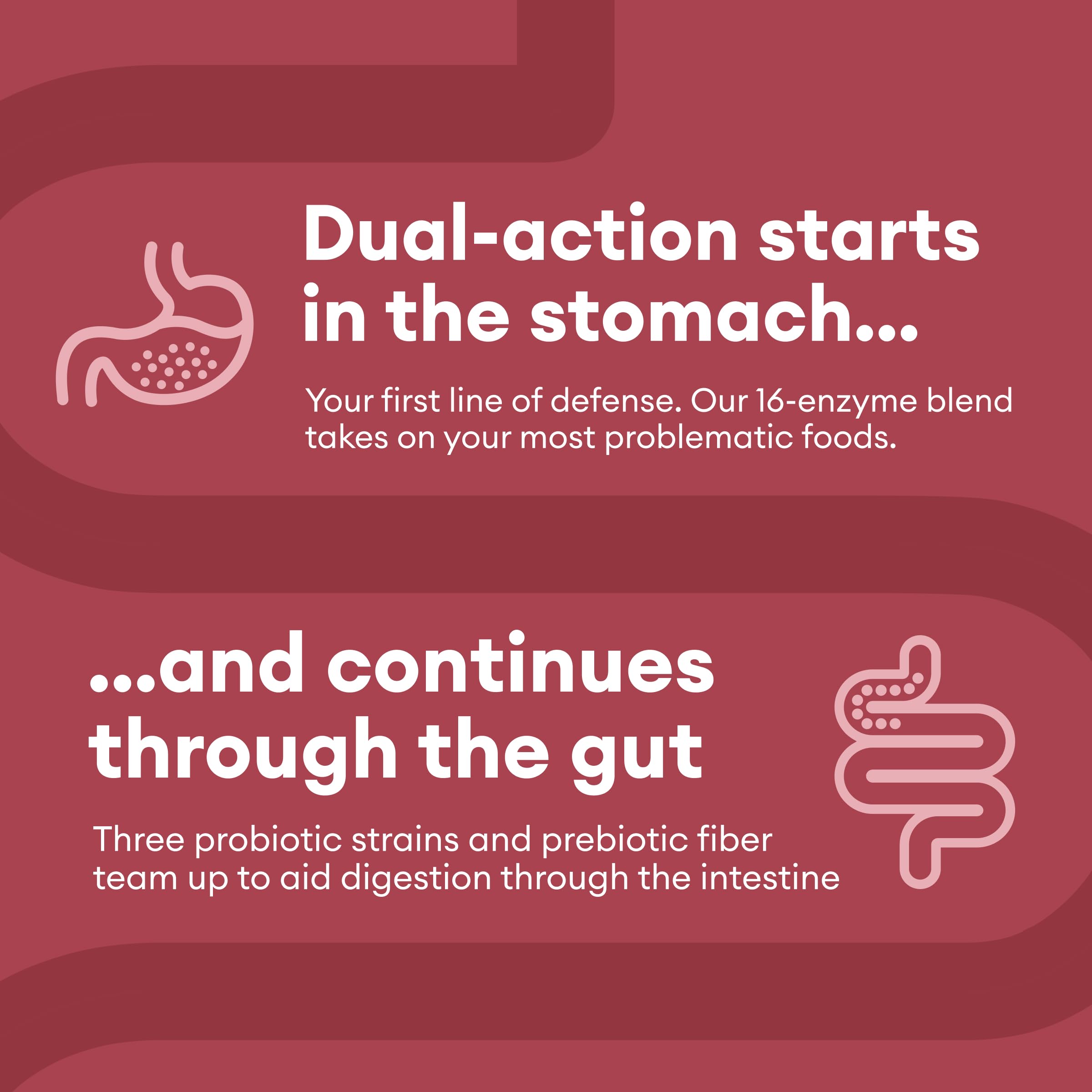 Physician's CHOICE Digestive Enzymes - Multi Enzymes, Bromelain, Organic Prebiotics Physician's CHOICE