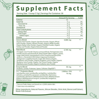 GOBIOTIX Super Greens Powder with Organic Spirulina - Superfood Supplement
