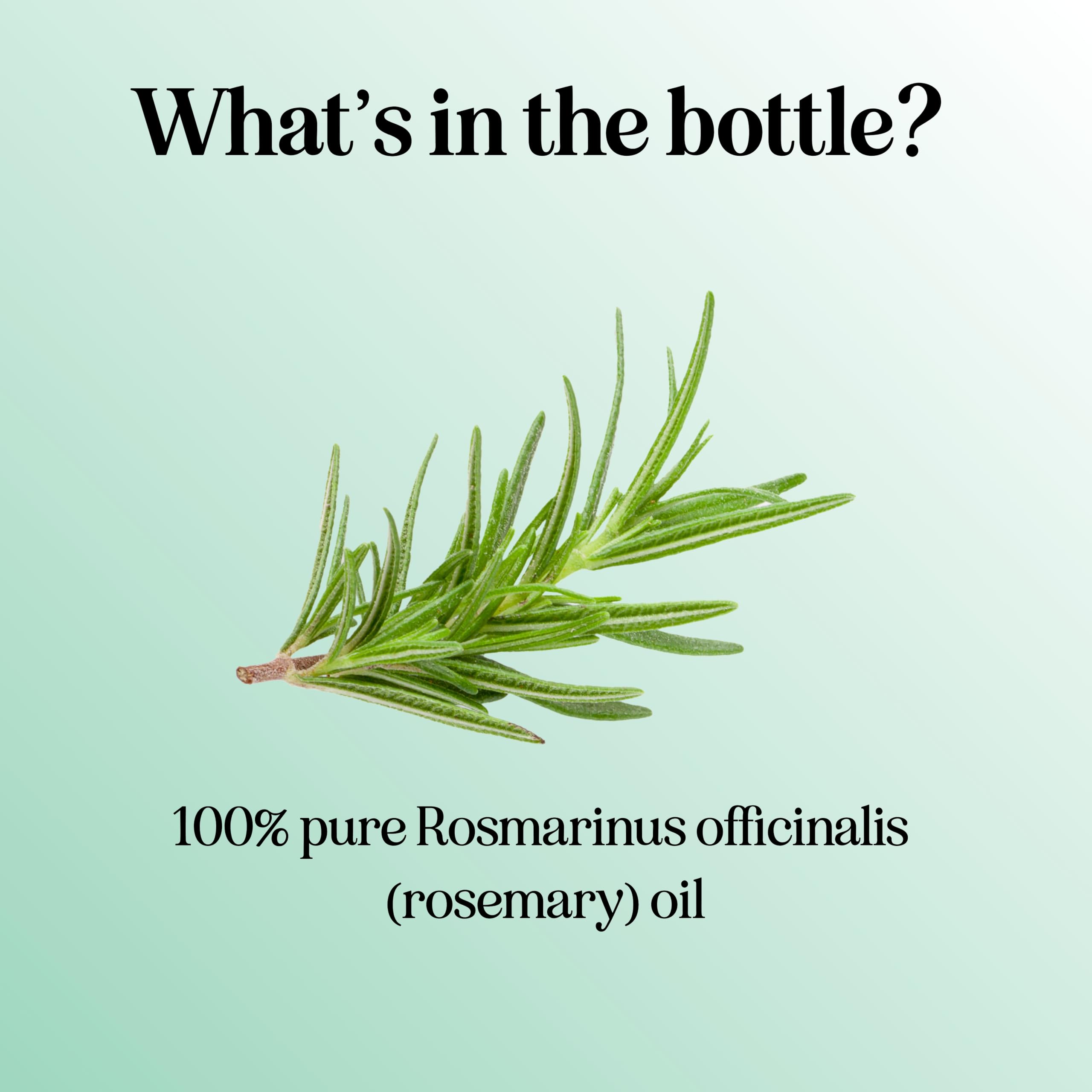 Pure Rosemary Essential Oil for Aromatherapy - Pure Rosemary Oil for Hair Skin and Nails Maple Holistics