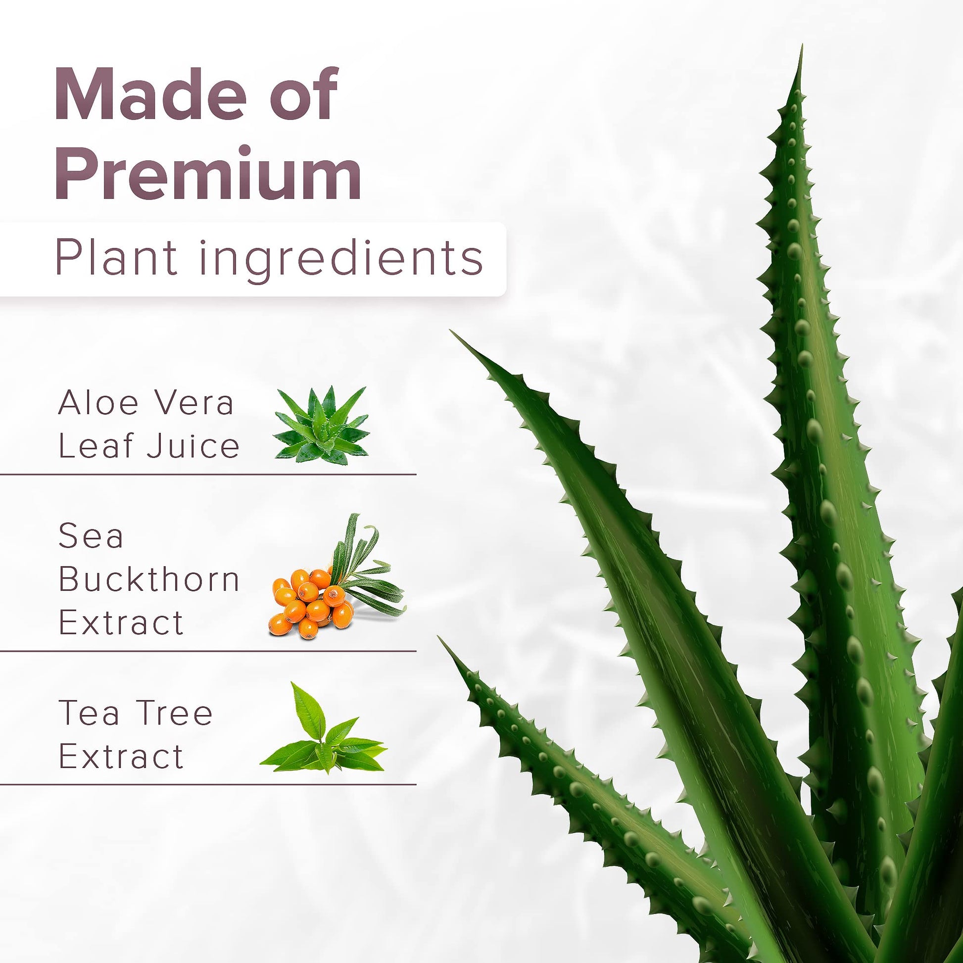 DR. SCHAVIT FEMOXIL Vaginal Suppositories - Natural Plant-Based Formula for The Treatment of Bacterial DR. SCHAVIT