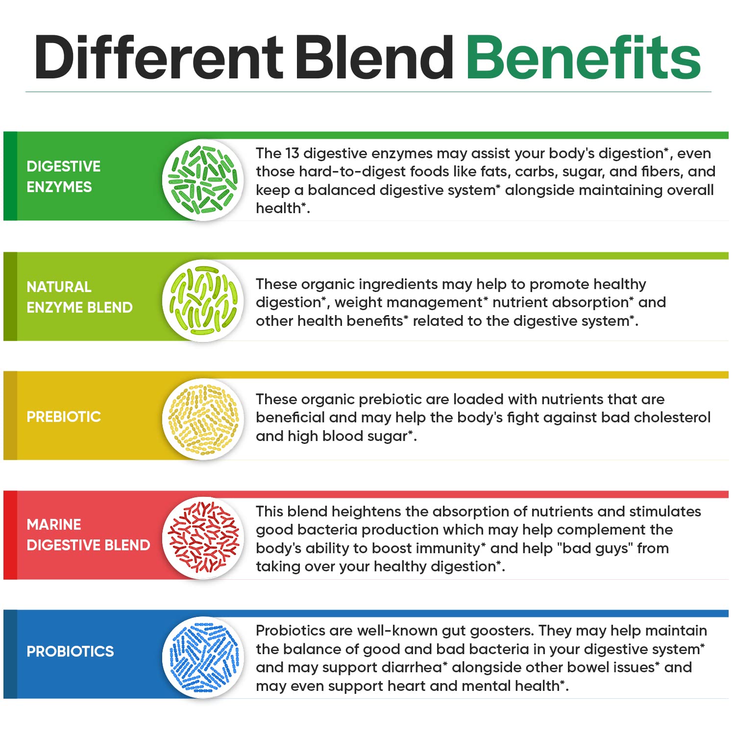 Wholesome Wellness Digestive Enzymes 1000MG Plus Prebiotics & Probioti Wholesome Wellness