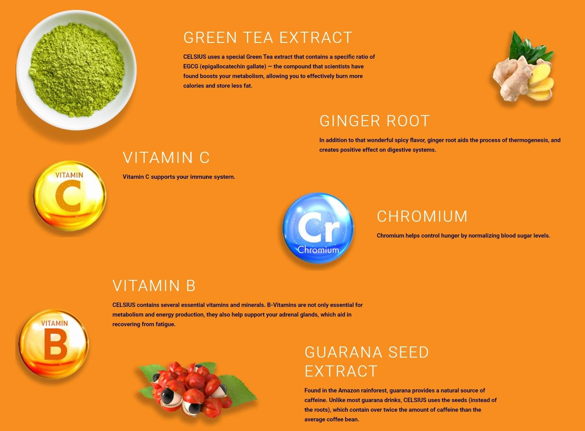 CELSIUS Dragonfruit Lime On-the-Go Powder Stick Packs, Zero Sugar 14 Count(Pack of 1) CELSIUS