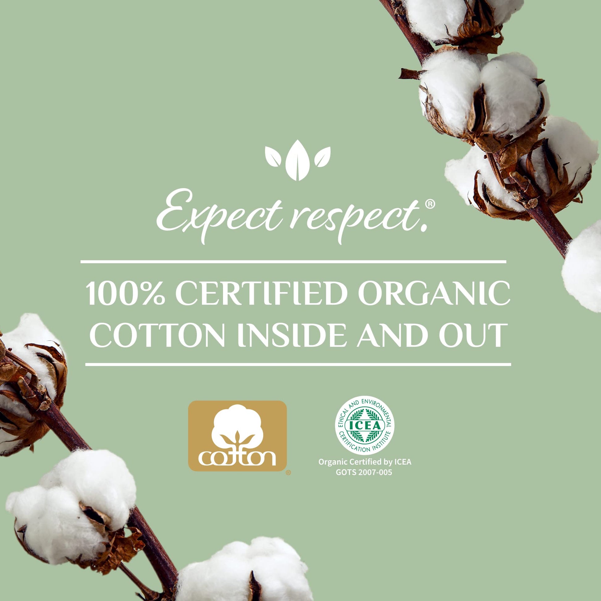 Organyc 100% Certified Organic Cotton Tampons - Cardboard Applicator, Free from Chlorine, Perfumes Organyc
