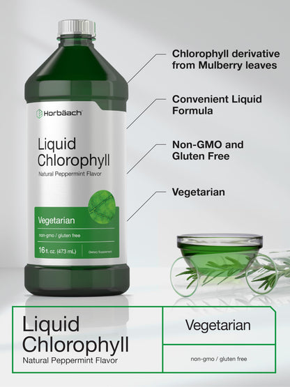 Chlorophyll Liquid Drops 100mg | 32 oz (2 x 16 oz Bottles) | Natural Peppermint Flavor