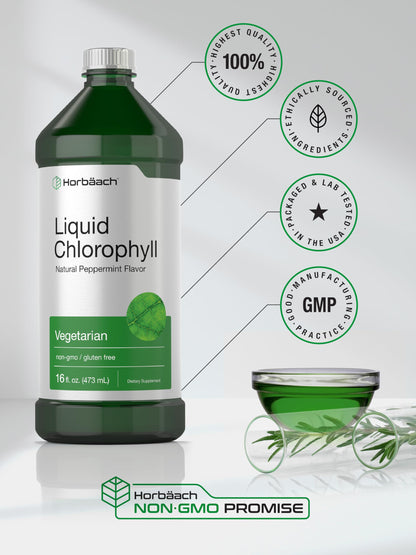 Chlorophyll Liquid Drops 100mg | 32 oz (2 x 16 oz Bottles) | Natural Peppermint Flavor