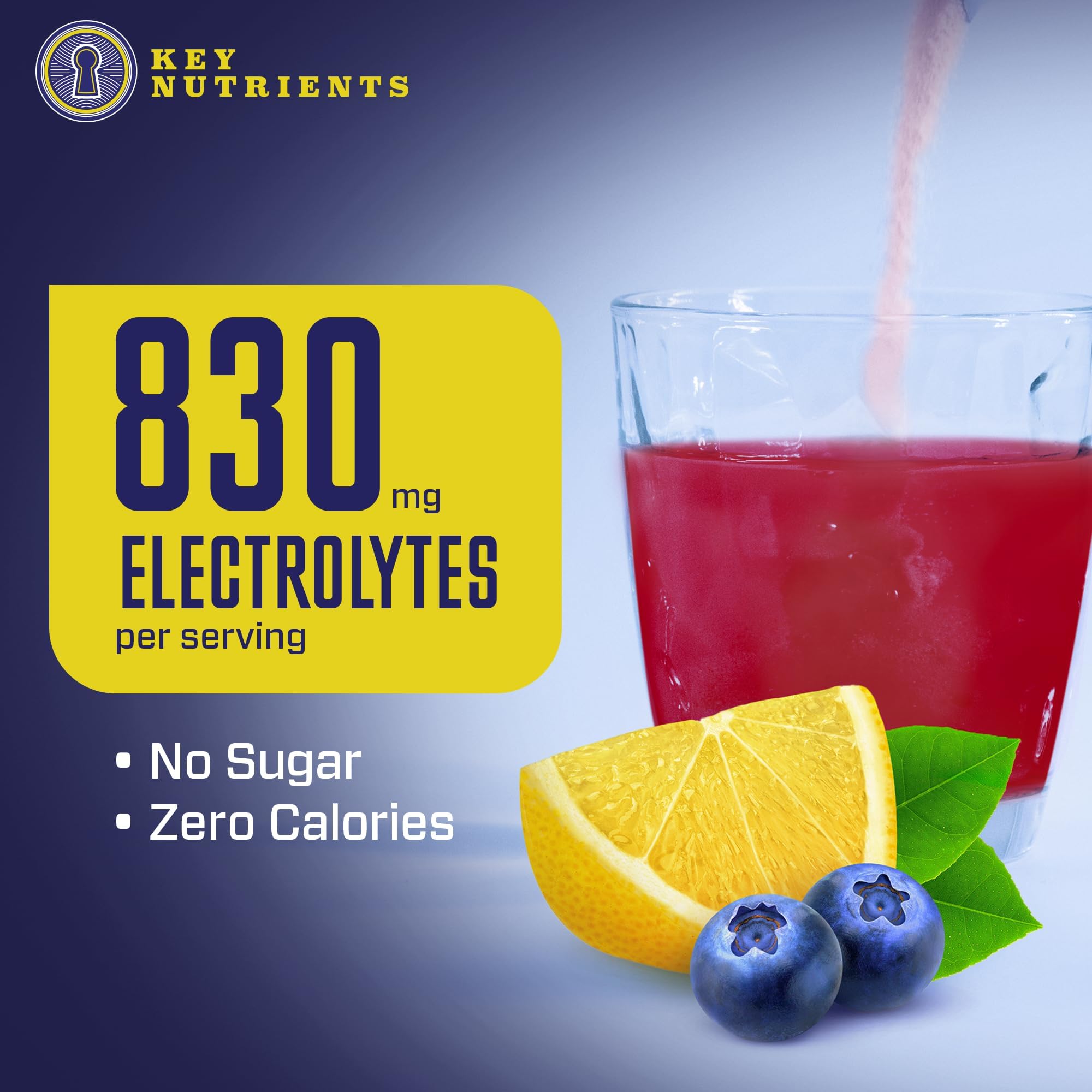 KEY NUTRIENTS Multivitamin Electrolytes Powder No Sugar - Fresh Blueberry Lemonade