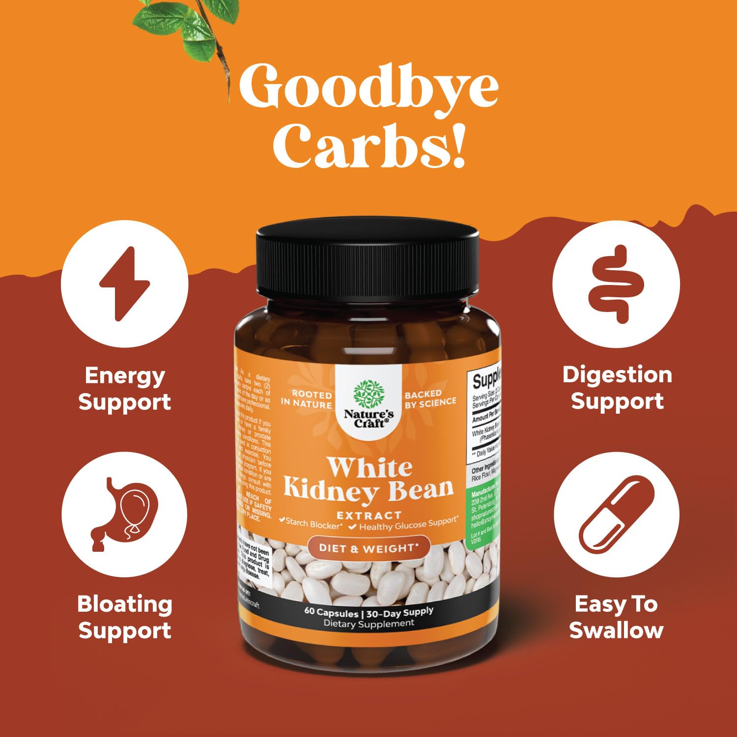 Natural White Kidney Bean Extract - White Kidney Bean Energy Booster AMPK Activator Natures Craft