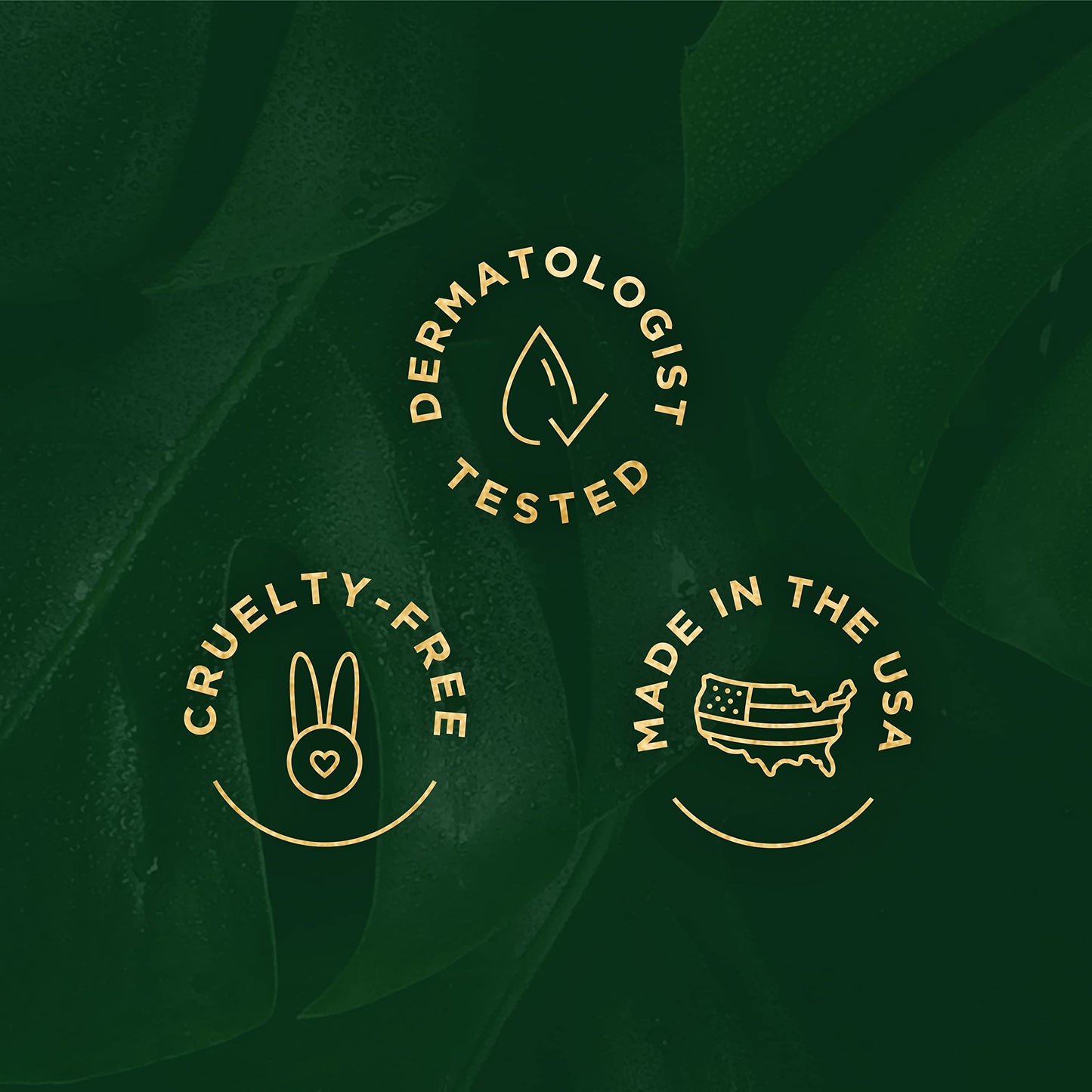 Tree of Life Retinol Serum & Tea Tree Serum for Face - Skin Care Duo