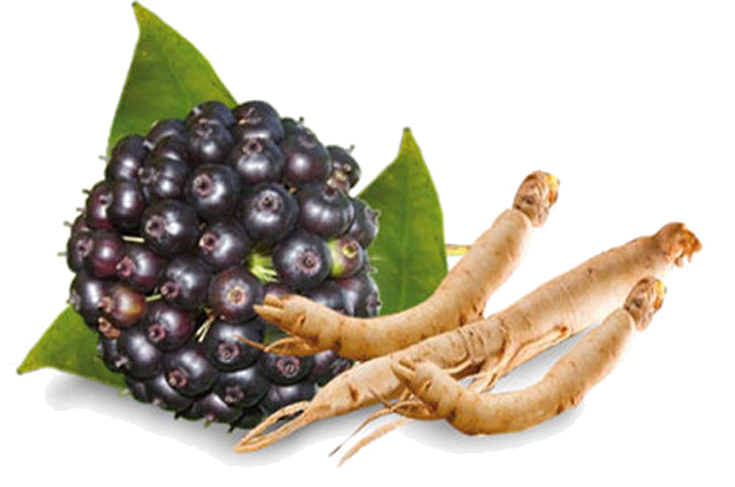 herbal tea for menopause - caffeine free - Hormonal Balance + Hot Flashes – 28 Days MENOPAUSE SWAN LIFE ESSENTIALS