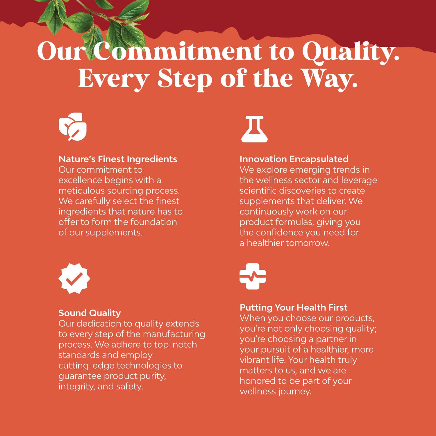 Chia Seed Oil Supplement for Weight Loss and Energy Natural Superfood Protein Metabolis Natures Craft