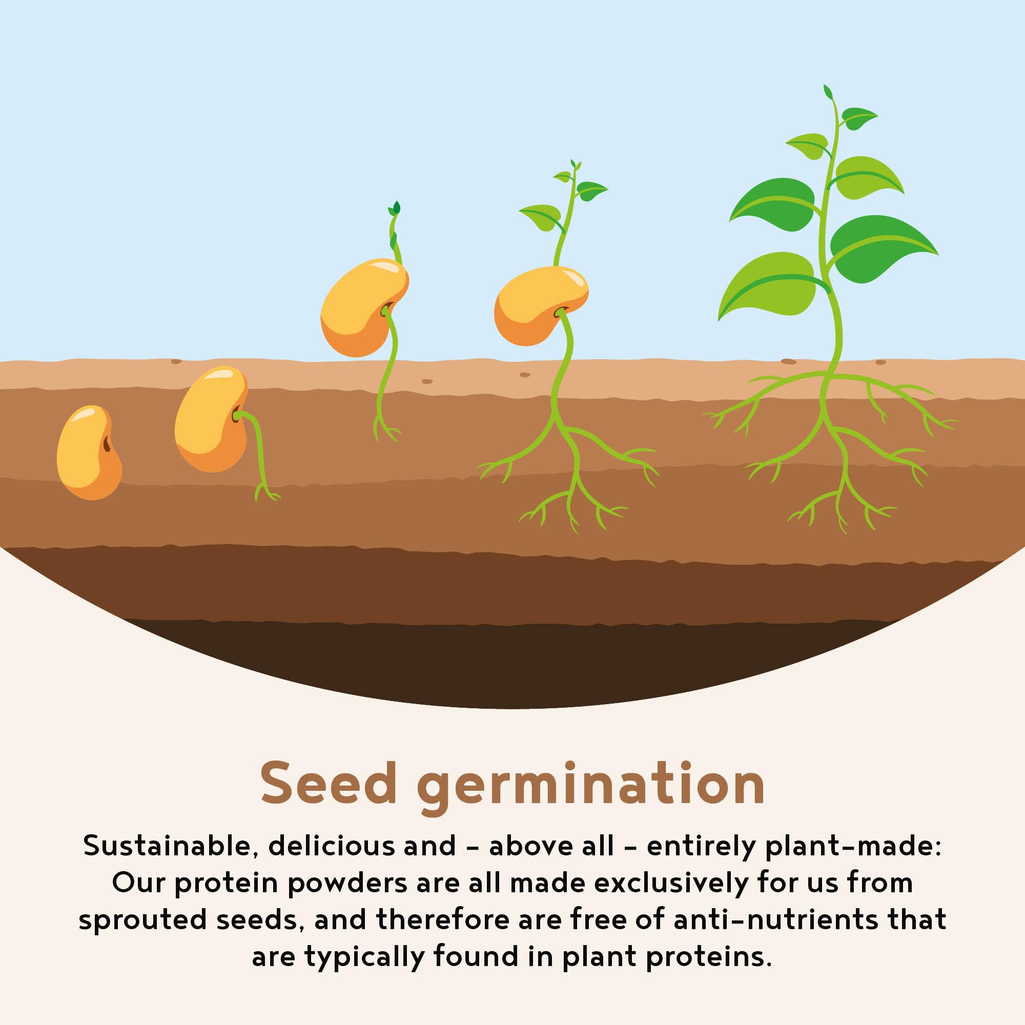 Alpha Foods Vegan Protein Powder - Muscle Building Powder with Amino Acids Alpha Foods