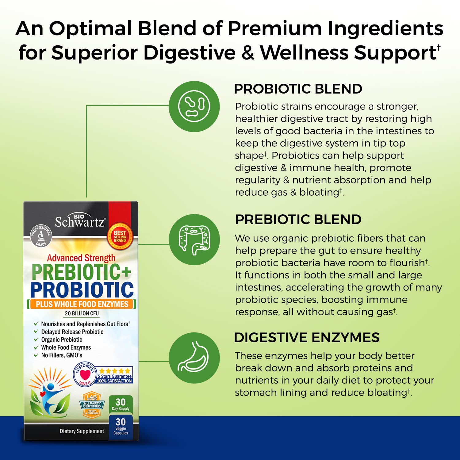 Probiotic & Prebiotic Digestive Health Capsules - 30ct, Gluten & Dairy Free, Non-GMO BioSchwartz